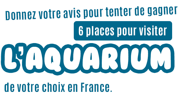 Donnez votre avis pour tenter de gagner 6 places pour visiter l'aquarium de votre choix en France. Donnez votre avis pour tenter de gagner 6 places pour visiter l'aquarium de votre choix en France.