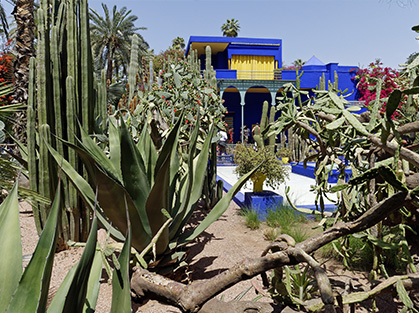 Visiter le Jardin Majorelle et le Musée Berbère